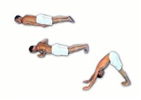 Поза кошки (комплекс асан)