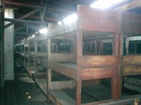 Польша (барак в Майданеке)