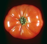 Помидоры (3)