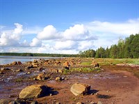 Поморье (отлив на Белом море)