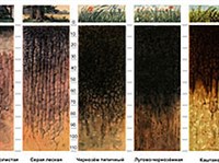 Почва (виды почв)