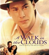 Прогулка в облаках (постер)