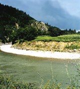 Прут (Черновицкая область)