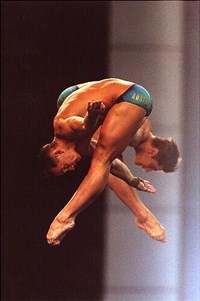 Прыжки в воду(синхронный прыжок) [спорт]