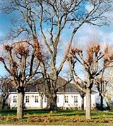 Псковская область (Михайловское, усадьба)