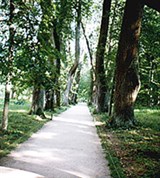 Псковская область (Михайловское. Аллея Керн)