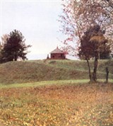 Псковская область (Пушкинские горы. Савкина гора)