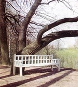 Псковская область (Пушкинские горы. Скамья Онегина)