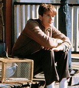 Птичка (кадр из фильма)