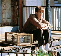 Птичка (кадр из фильма)