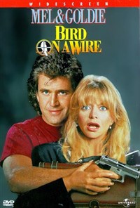 Птичка на проводах (постер)