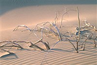 Пустыня (долина Смерти)