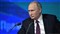 Путин Владимир Владимирович (пресс-конференция)