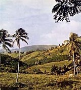 Пуэрто-Рико (ландшафт внутренних районов)