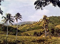 Пуэрто-Рико (ландшафт внутренних районов)