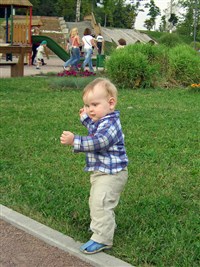 РАЗВИТИЕ РЕБЕНКА (двенадцатый месяц) (первые шаги)