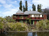 РЕЮНЬОН (Маскаренский ботанический заказник)