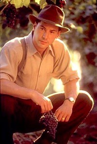 РИВЗ Киану («Прогулка в облаках»)