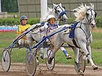 РЫСИСТЫЕ БЕГА (орловские рысаки)