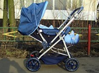 Развитие ребенка (девятый месяц) (прогулочная коляска)