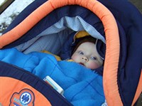 Развитие ребенка (шестой месяц) (прогулка)