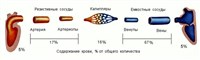 Распределение крови