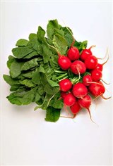 Редис (2)