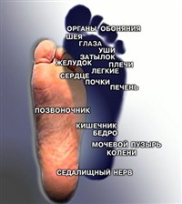 Рефлексогенные зоны ноги