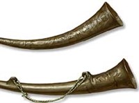 Рог музыкальный