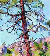 Рождественский Василий Васильевич (Начало осени. Лиственница)