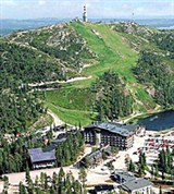 Рука (отель)