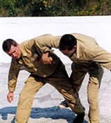 Русский боевой стиль (схватка) [спорт]