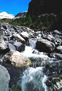 Ручей (горный ручей)