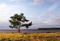 Рыбинское водохранилище