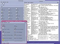 САН МАЙКРОСИСТЕМС (Solaris 8)