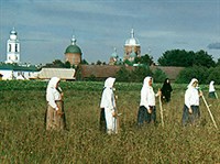 СЕНОКОС (Леушинский монастырь)
