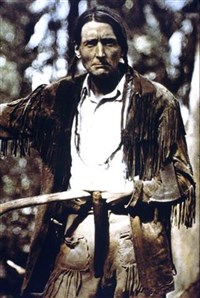 СЕРАЯ СОВА (портрет)