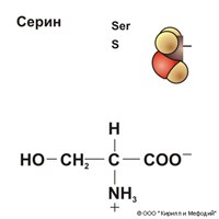 СЕРИН