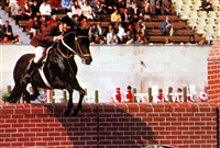 СТАРОСТИН Анатолий [спорт]