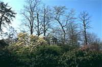 Садово-парковое искусство (Кью-Гарден. Англия)