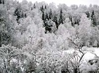 Салаирский кряж (зима)