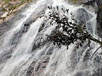 Самуй (водопад На Муанг)