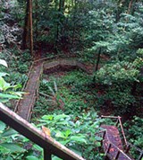 Саравак (пещера)