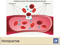 Свертывание крови (механизм свертывания крови)