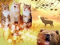 Свиристель (голос)