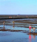 Северное море (грязевые ванны)