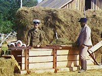 Сено (прессовальный станок)