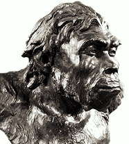 Синантропы (реконструкция)