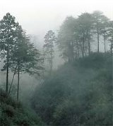 Сино-Тибетские горы