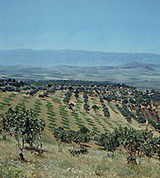 Сирия (пейзаж в районе Латакии)